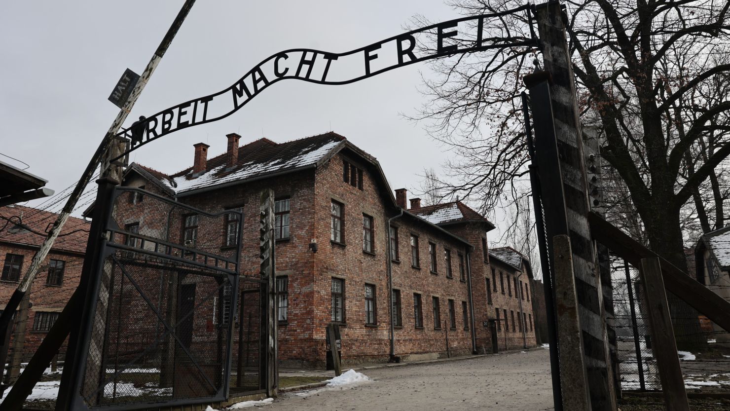 Trans Man Fleeing U.S. Finds Dutch Asylum Camp — Then Must Return Home Due to Safety Threats