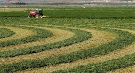 Foreign Adversaries Are Quietly Taking Over America’s Farmland